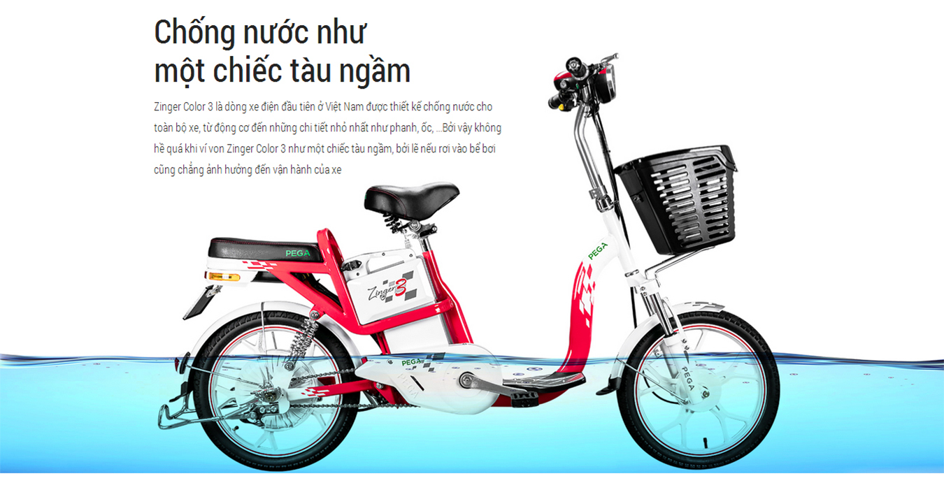 14 xe đạp điện cho người già nhỏ nhẹ an toàn tiện lợi giá từ 10tr ...
