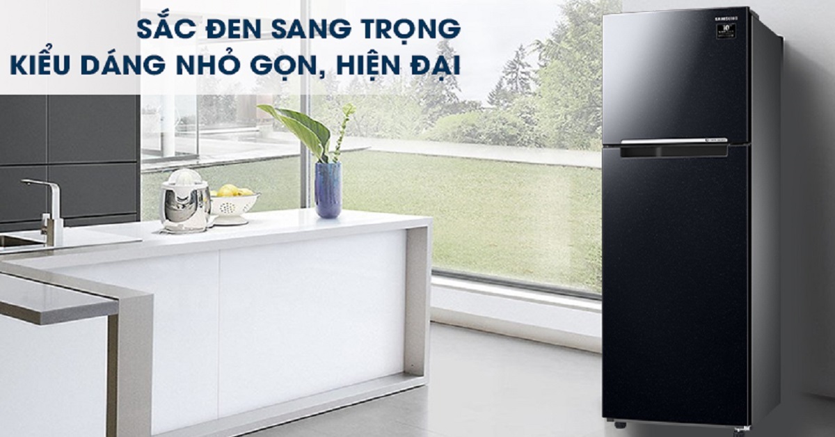 5 điều về tủ lạnh Samsung Inverter 256 lít RT25M4032BU/SV mà bạn cần biết trước khi mua