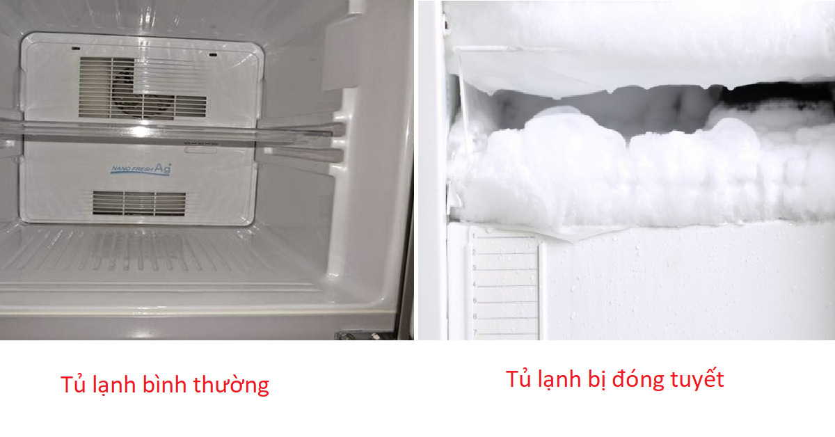 Nguyên nhân và cách khắc phục tủ lạnh bị đóng tuyết tại nhà - Duy Phúc Hưng