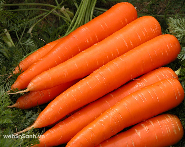 8 công dụng không thể bỏ qua của cà rốt