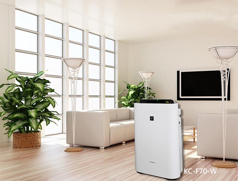 Cách chọn máy lọc không khí nào tốt giữ ẩm cho phòng khách hiệu quả