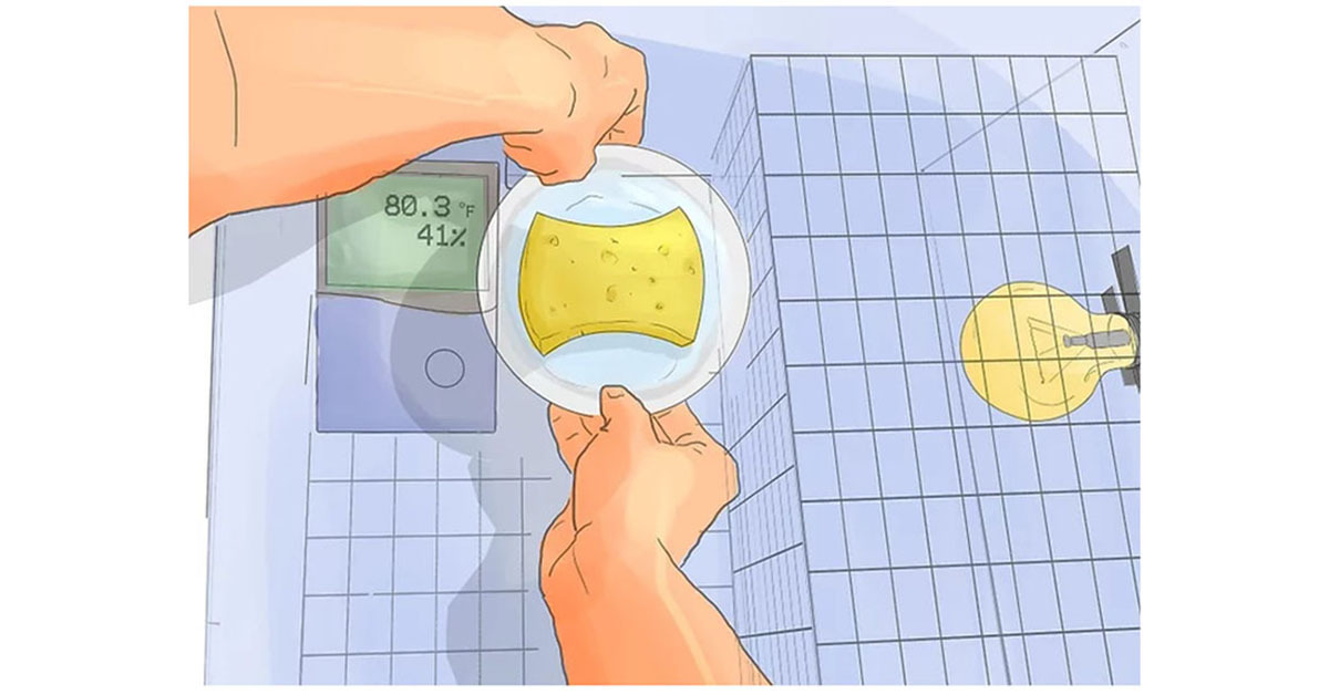 Cách làm máy ấp trứng đơn giản nhưng hiệu quả nhất