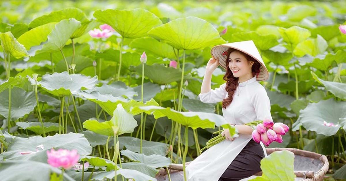 Chụp ảnh hoa sen ở Hà Nội năm 2019: kinh nghiệm và giá gói chụp dã ngoại