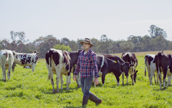 Đánh giá sữa Australia's Own có tốt không?