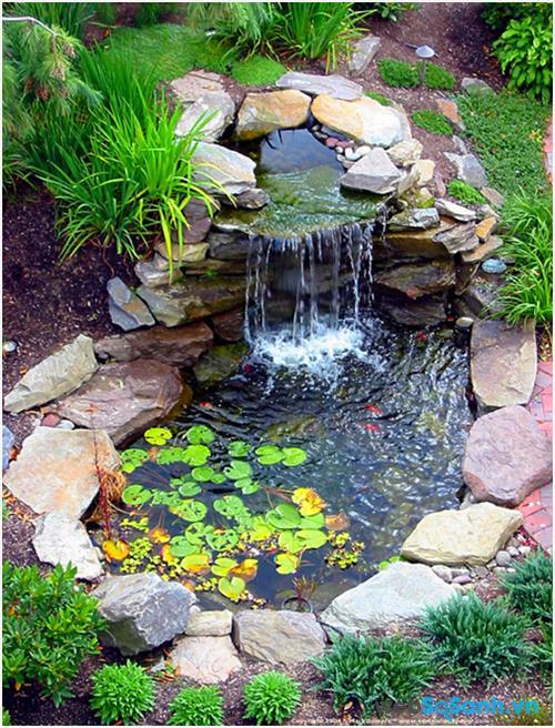 Hướng dẫn tạo hồ nước cực dễ trong khu vườn của bạn
