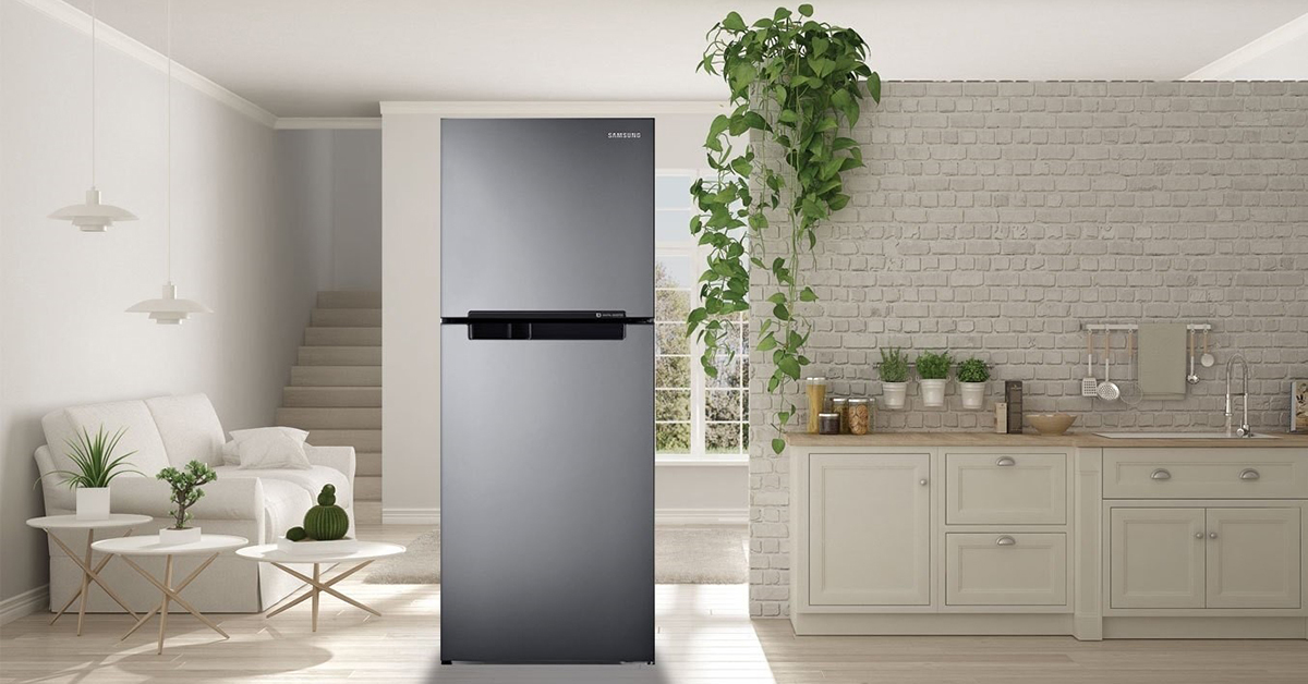 Khám phá tủ lạnh Samsung inverter 208 lít RT19M300BGS/SV