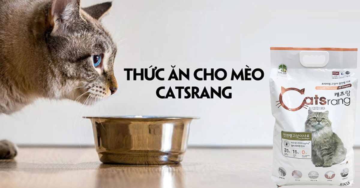 Lý do bạn nên chọn thức ăn khô Catsrang cho mèo