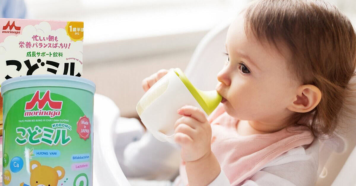 Review sữa Morinaga Kodomil có tốt không? Các loại, giá cả và cách pha