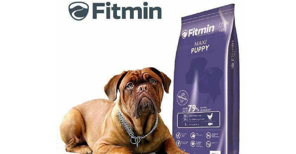 Thức ăn cho chó Fitmin có ưu điểm gì nổi bật?
