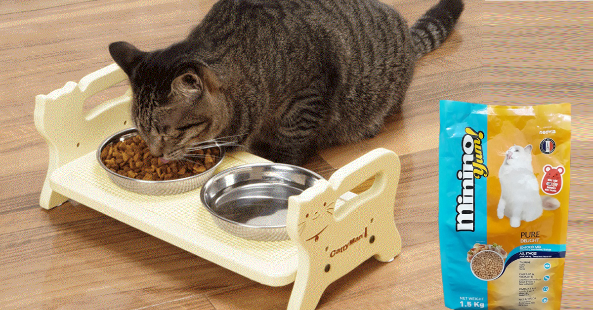 Thức ăn cho mèo minino yum có tốt không?