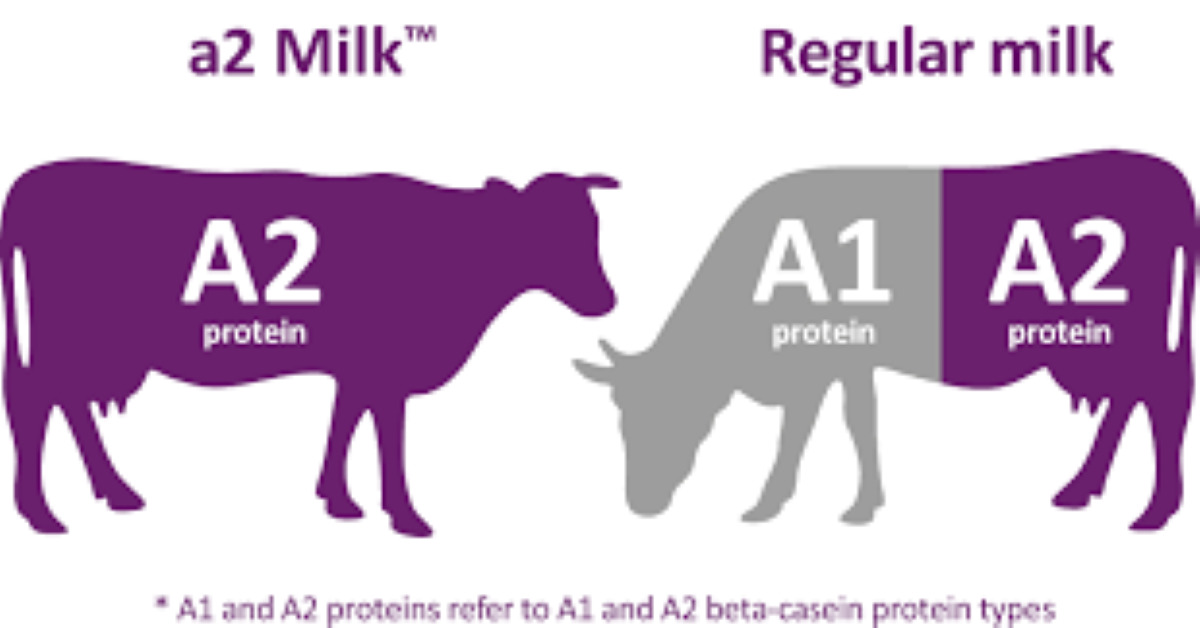 Top 3 sữa A2 được ưa chuộng nhất hiện nay