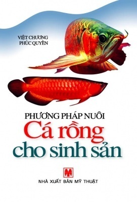 Nơi bán Cá Rồng giá rẻ, uy tín, chất lượng nhất