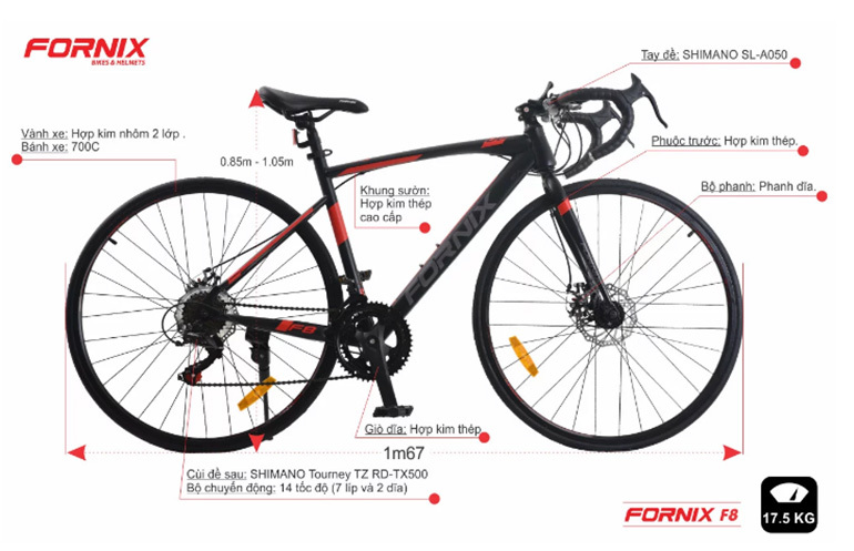 xe đạp thể thao fornix
