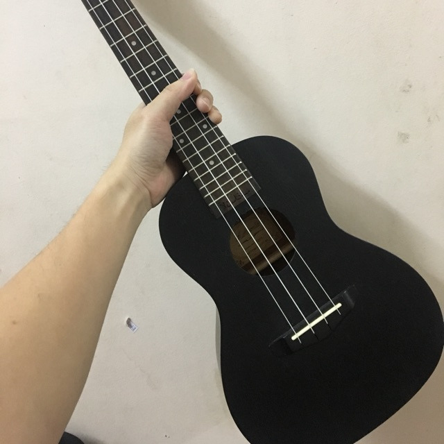 Mua đàn Ukulele tại một số shop nổi tiếng.