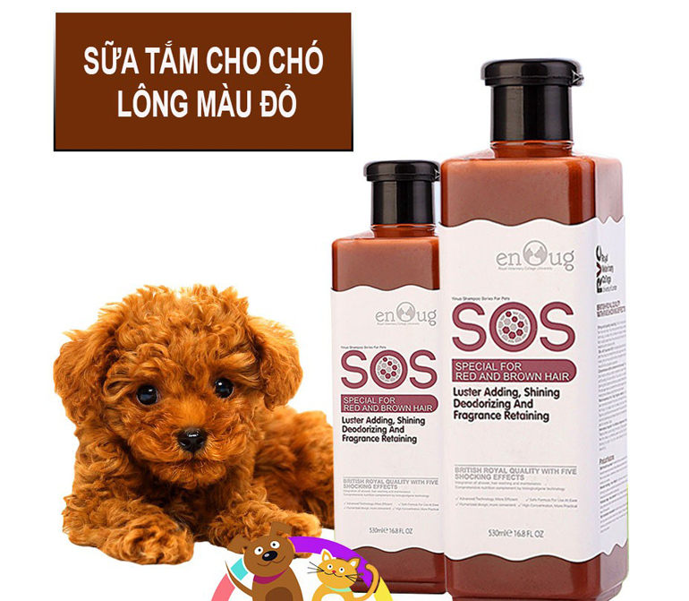 Sữa tắm SOS cho chó Poodle