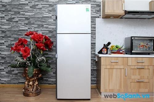 Tủ lạnh Hitachi R-H230PGV4 