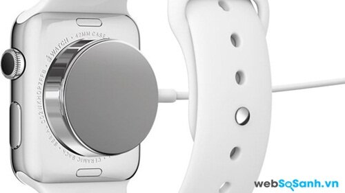Pin của Apple Watch. Nguồn Internet