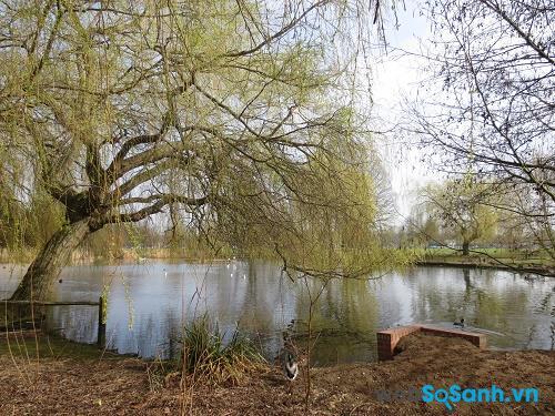 Ảnh chụp từ máy ảnh compact Canon IXUS 115 HS tại tiêu cự 24 mm, khẩu độ f/2.7 và ISO 100 Ảnh chụp từ máy ảnh compact Canon IXUS 115 HS tại tiêu cự 24 mm, khẩu độ f/2.7 và ISO 100