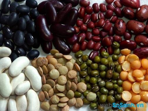 Trong đậu hạt có chứa các thành phần dinh dưỡng được tìm thấy trong thịt động vật