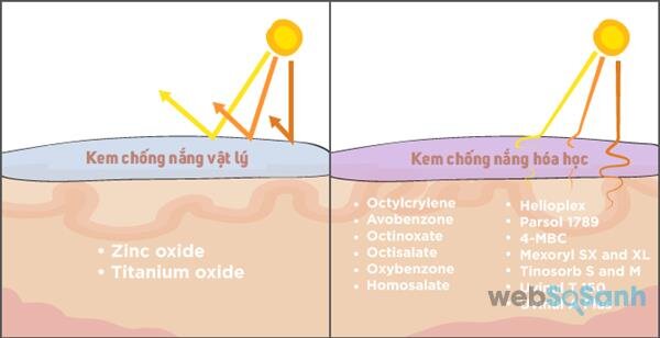 Tác dụng của kem chống nắng vật lý và kem chống nắng hóa học