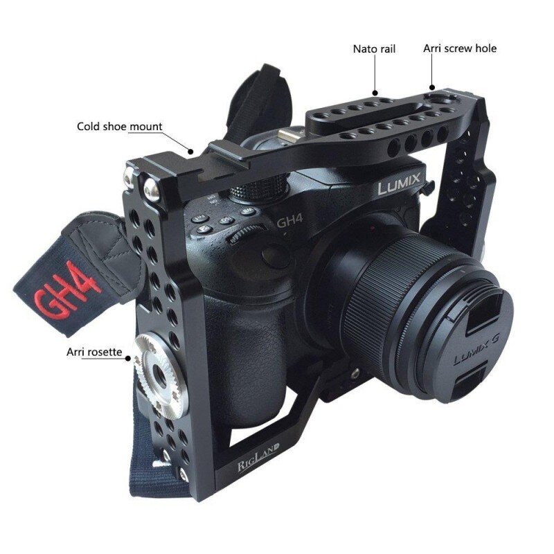 máy ảnh Lumix GH5s 
