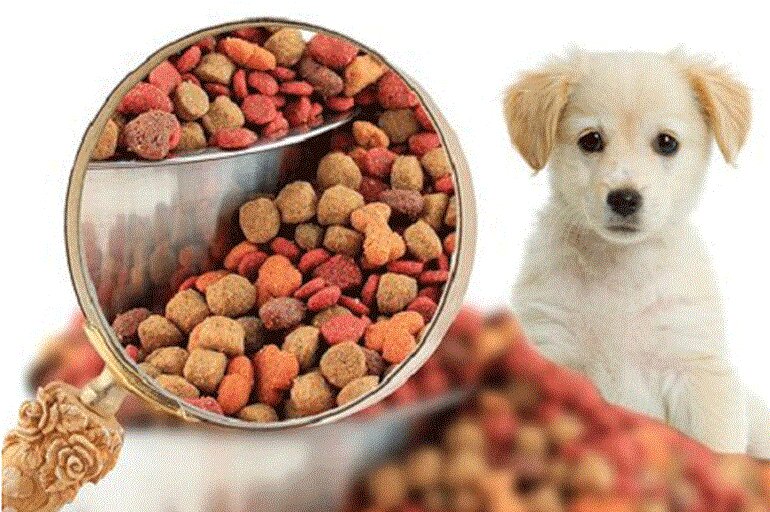 Which type of dry dog ​​food is good is the concern of many owners