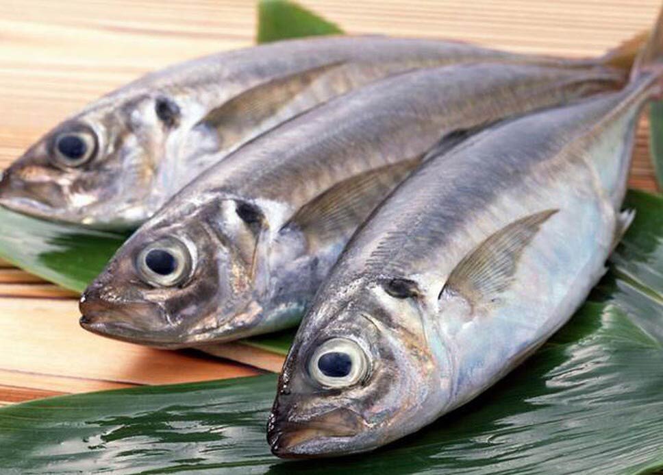 Sea fish contains a lot of vitamin A, D and protein.