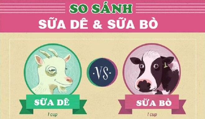 Sữa bò và sữa dê đều giàu dinh dưỡng