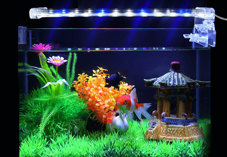 Đèn sưởi cho cá dạng led.