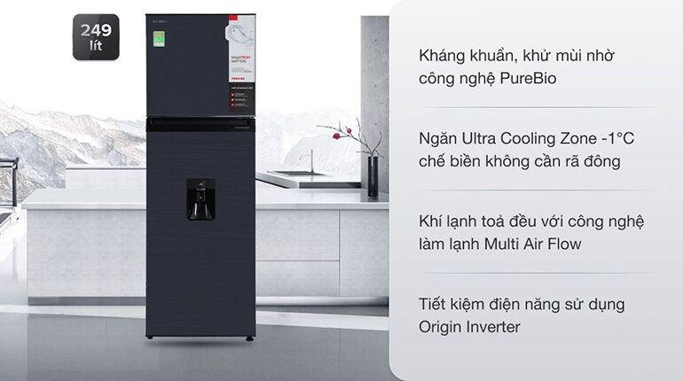Tủ lạnh Toshiba Inverter, dung tích 249 lít, model  GR-RT325WE-PMV(06)-MG
