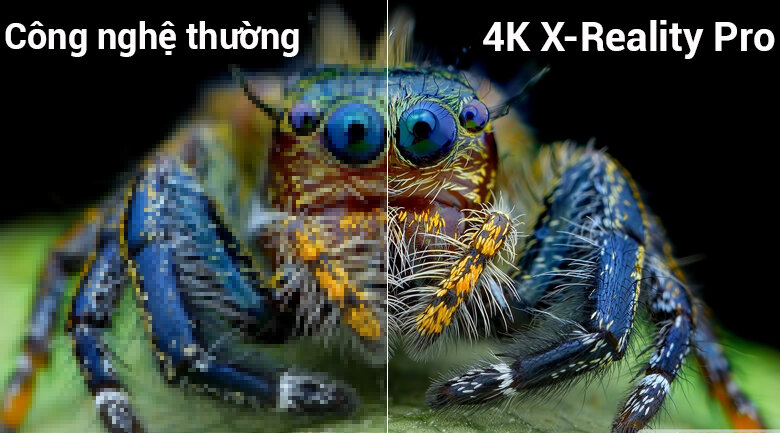 Công nghệ xử lý hình ảnh 4K X-Reality PRO