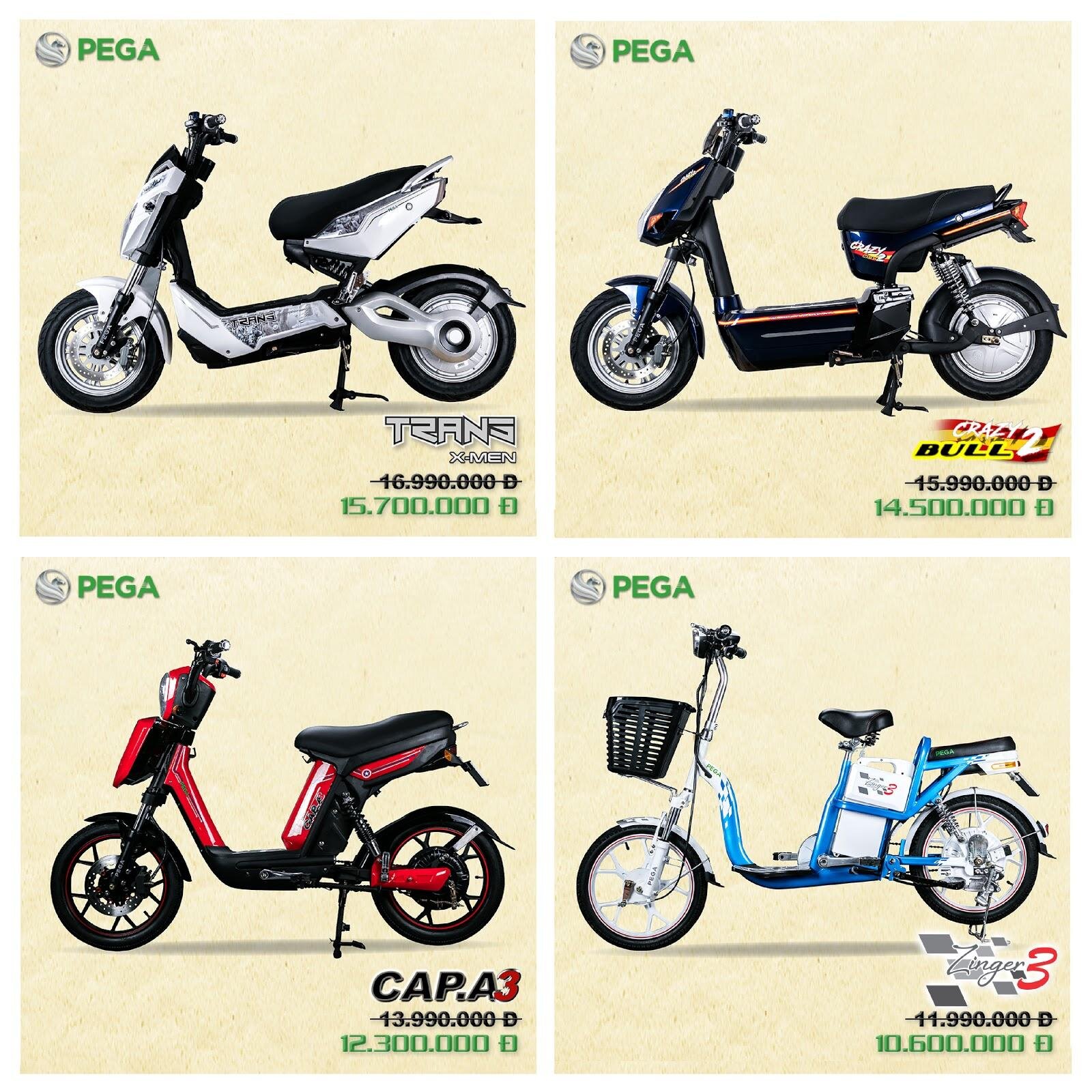 5 mẫu xe đạp điện Pega nam động cơ mạnh leo dốc tốt giá từ 10 ...
