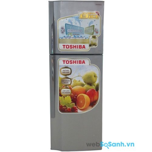 Toshiba GR-S25VPB (nguồn: internet)