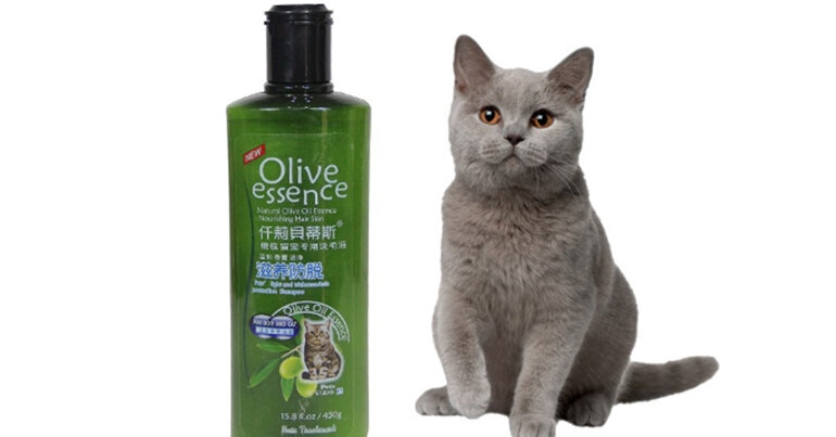 Is olive shampoo good for cats?