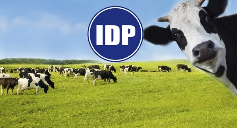 Կուն կաթը կրեմ խնձորի համով ստացվում է IDP International Dairy Joint Stock Company-ից