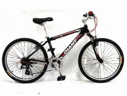 Xe đạp trẻ em MTB Giant 2012 CHASER540