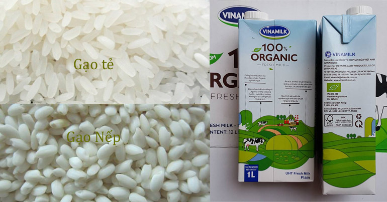 Nguyên liệu chính để làm sữa gạo Hàn Quốc