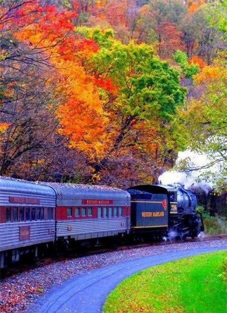 New England Fall Foliage Train,,,,,,,,,,,,pinned by Connie Green