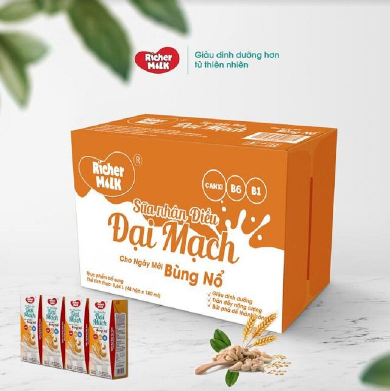 Review sữa nhân điều Richer Milk