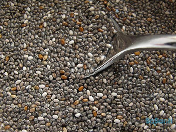 hạt chia hạt chia