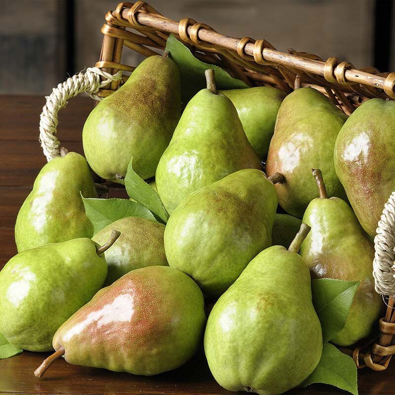 Pears are also a fruit that is beneficial for people with kidney failure.