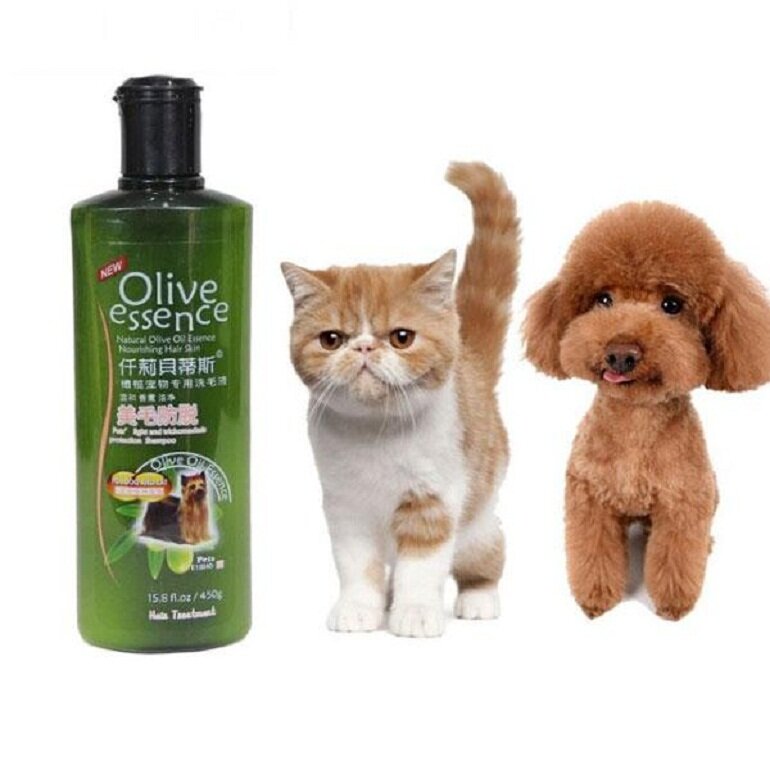 Olive shower gel for cats can be used for dogs
