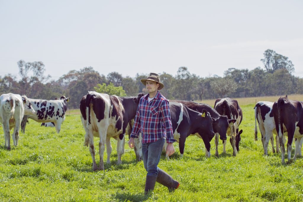 sữa Australia's Own có mấy loại