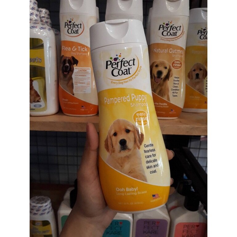 Sữa tắm 8in1 Perfect Coat cho chó thơm hơn và trị mùi hôi hiệu quả