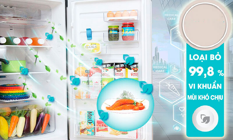 Công nghệ TasteGuard của tủ lạnh Electrolux ETB3400H-H 