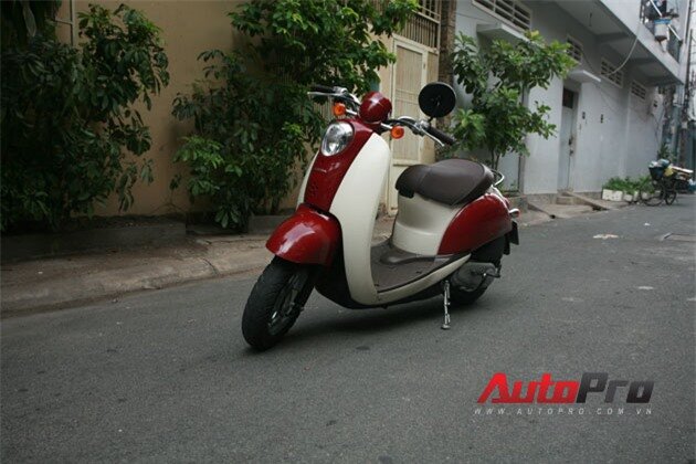 Honda Crea Scoopy 50cc: Scooter lý tưởng trong phố 1