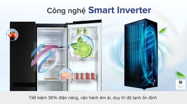 Tủ lạnh LG Inverter 2 cánh 264 lít GV-B262PS