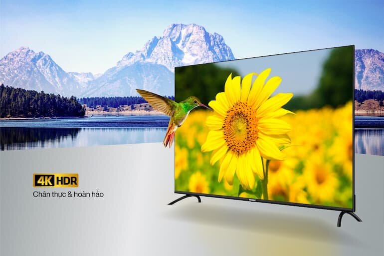 Tivi Rindo 50 inch giá đa dạng trên thị trường