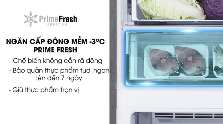 Tủ lạnh Panasonic NR-BV288GKVN 286 lít 