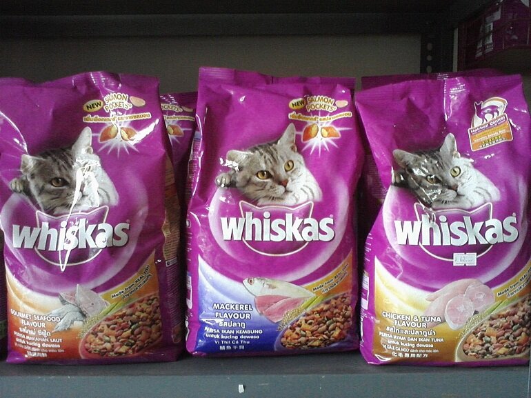 Whiskas dry food for kittens